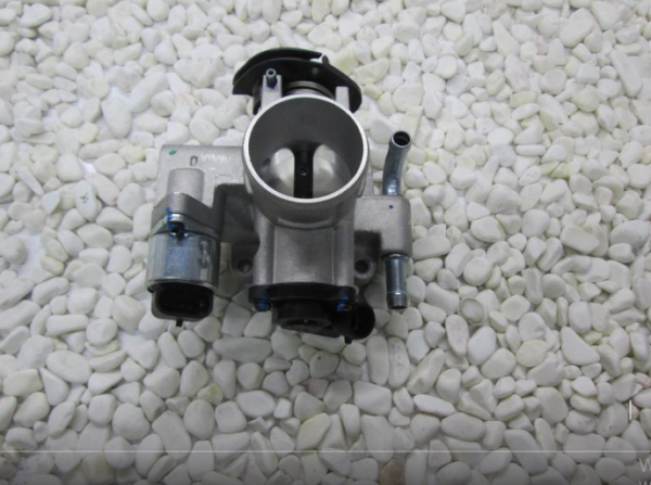 Chevrolet Aveo Gaz Kelebegi Komple 1.2 16 Valf 2006-2011