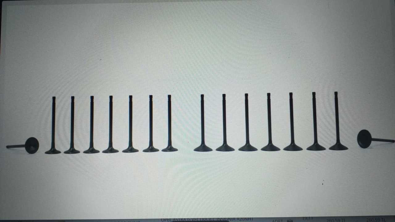 Opel Vectra C Subap Takımı 2.2 Benzinli