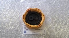 Opel Antara Radyatör Su Depo Kapağı 2.0 Dizel Motor GM