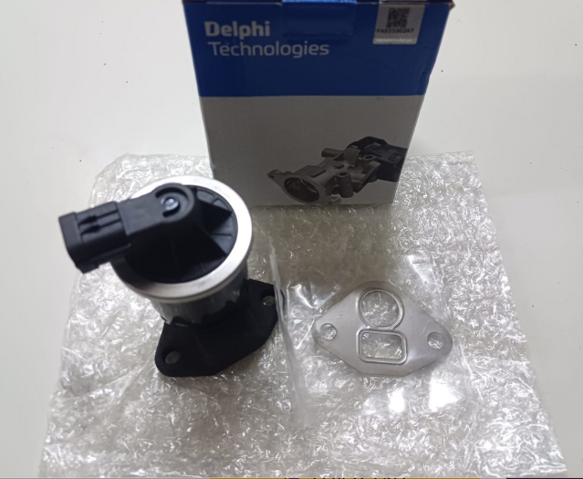 Chevrolet Rezzo Egr Valf