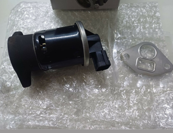 Chevrolet Rezzo Egr Valf