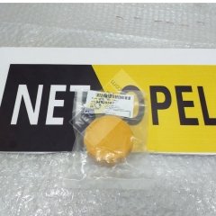Chevrolet Kalos Radyatör Su Deposu Kapağı GM